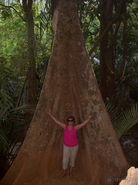 Полный покой!