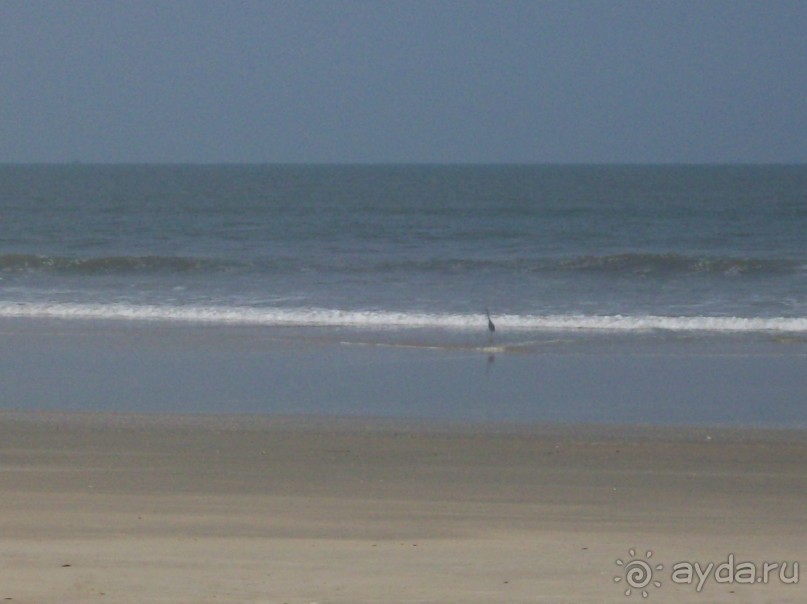 Полный покой!