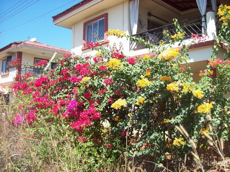 Полный покой!