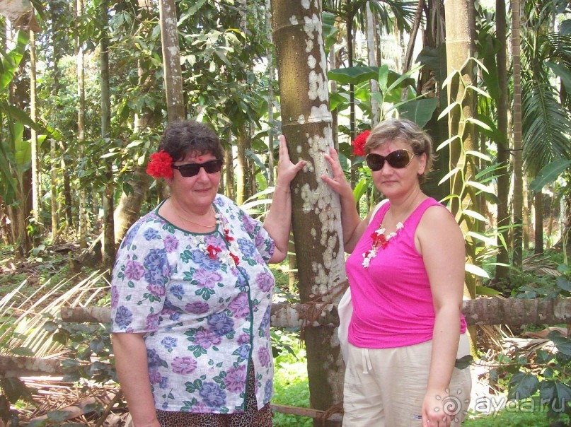 Полный покой!