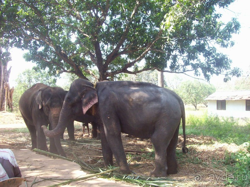 Полный покой!