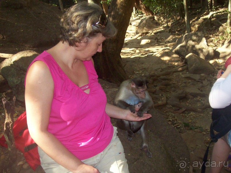 Полный покой!