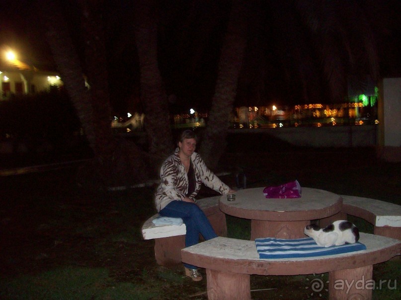 фото Flamingo Beach Resort