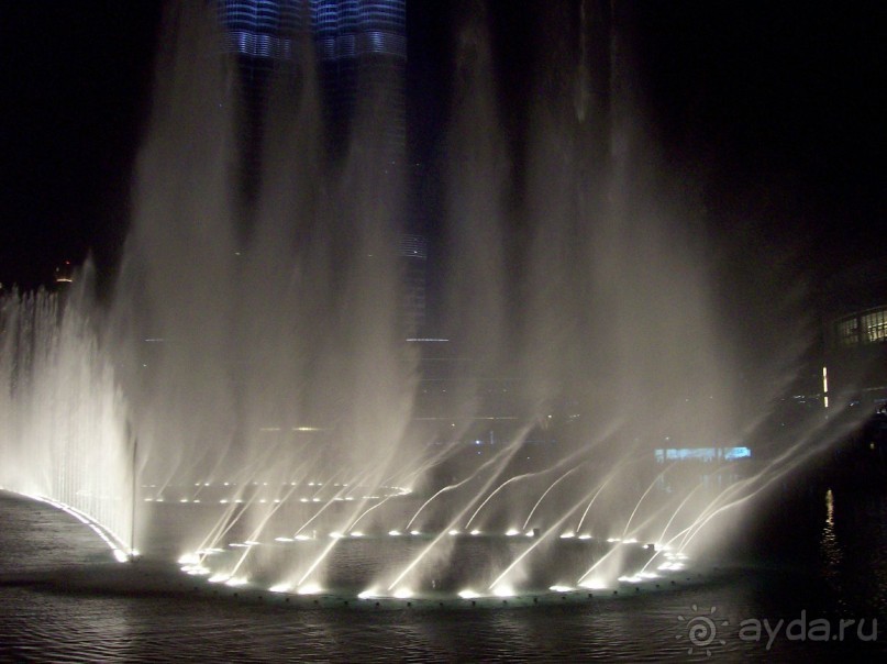 фото Flamingo Beach Resort