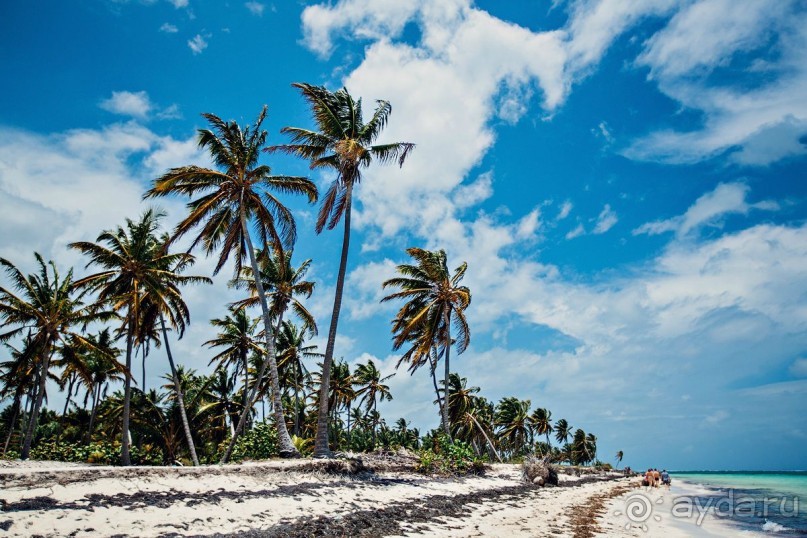 не рекомендую