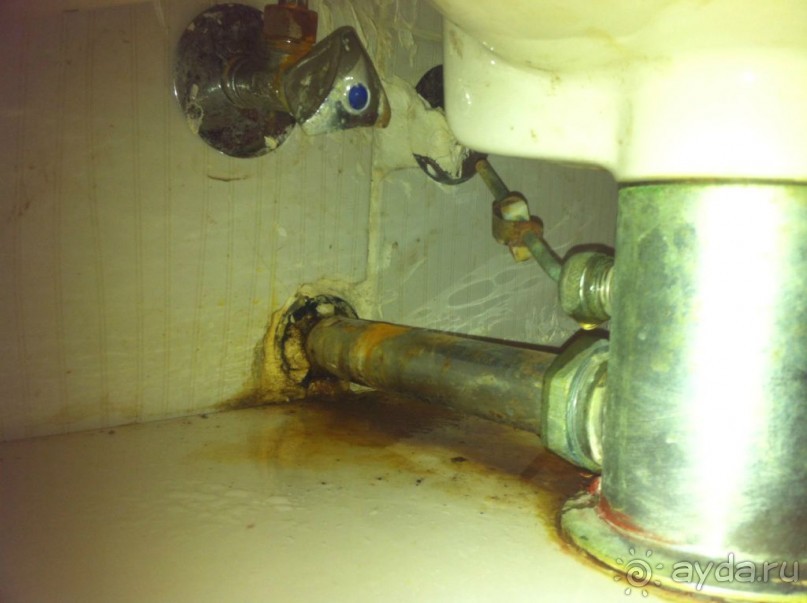 Обман Юлии Ховрич - дешевая ночлежка была продана как "отличная четверка, не хуже многих пятерок"