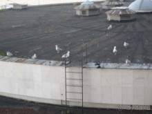 ностальгия