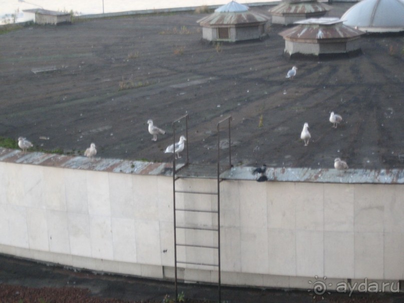 ностальгия