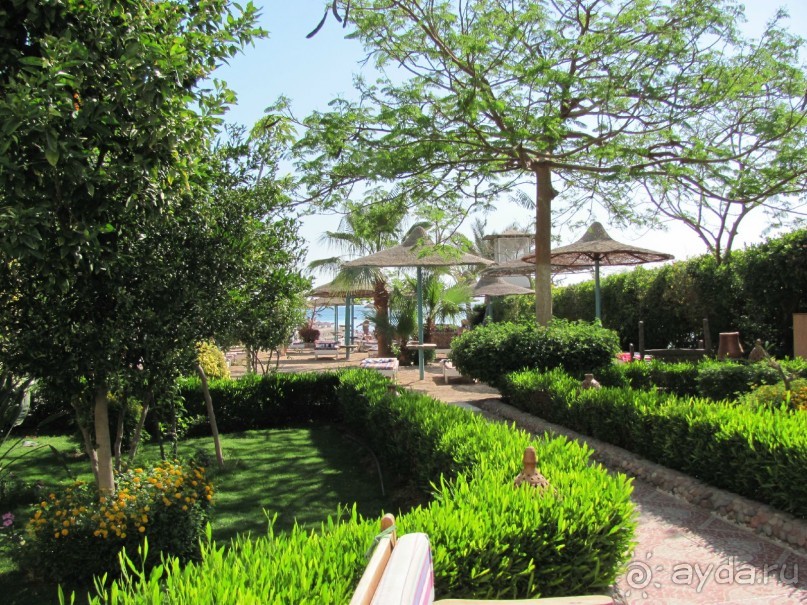 Все прекрасно, я осталась более чем довольная!!!!