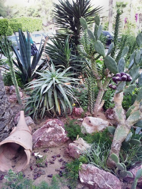 Рекомендуем ...