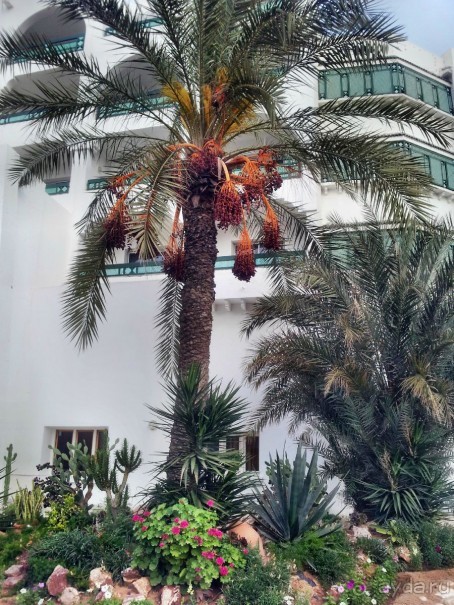 И сами поедем и другим рекомендуем