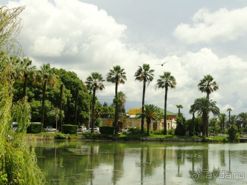 Три Сосны - Гудаута