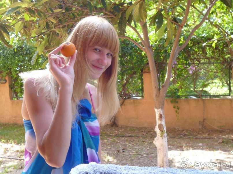 фото La Belle Creole