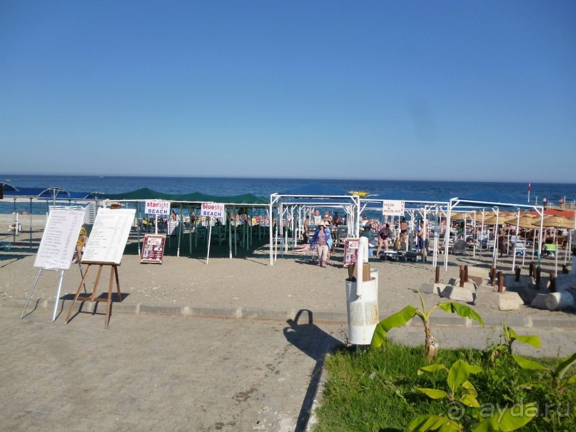 фото La Belle Creole