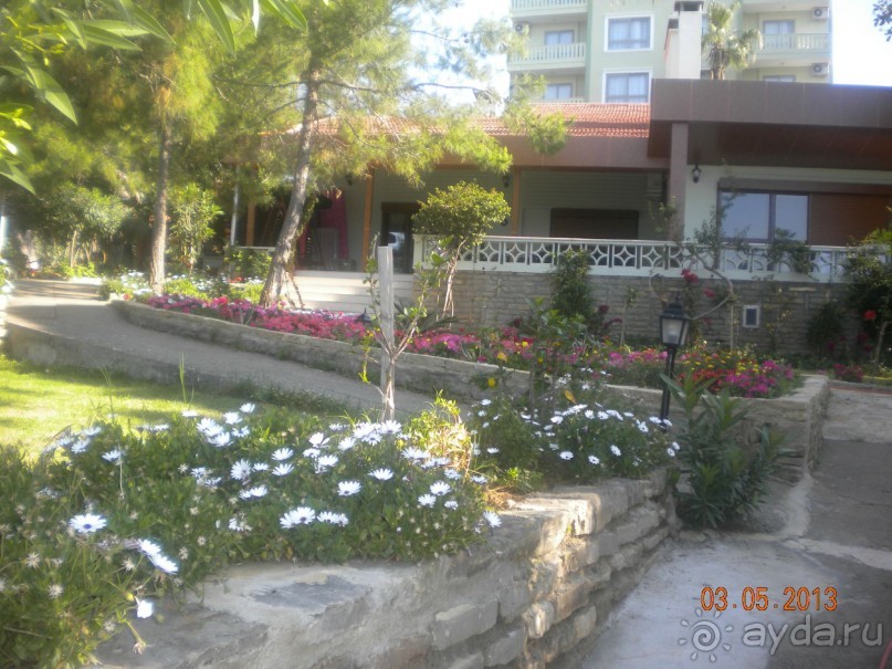 и снова территория 4*-ки