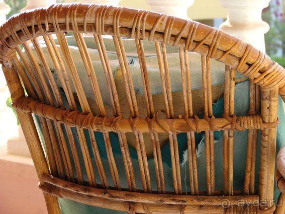 Жаль потраченных денег