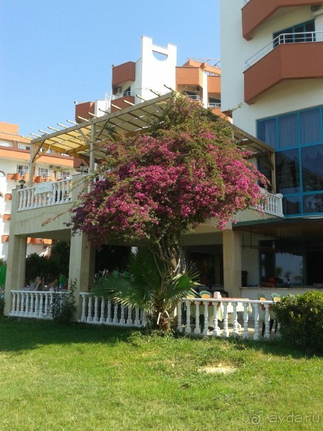 Райский уголок