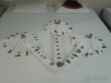  пальмы на постели