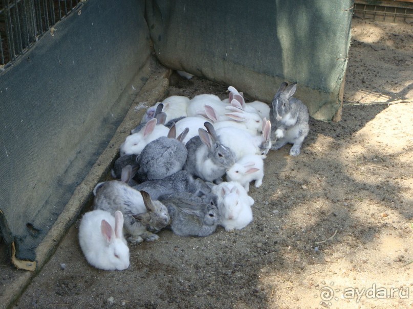 Разок съездить можно.