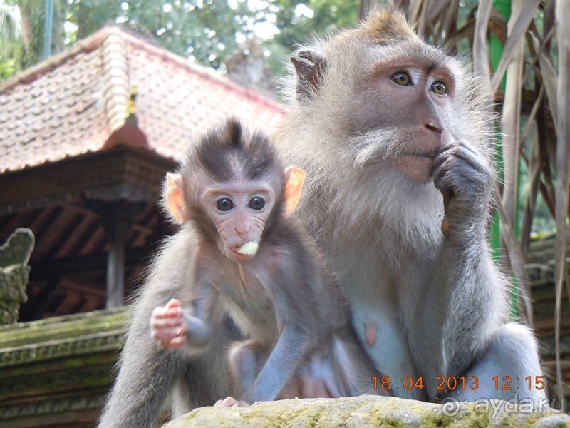 Рай в земле