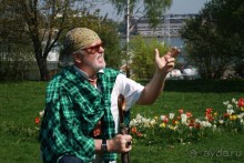 Ваш Гид  в Стокгольме на автомобиле