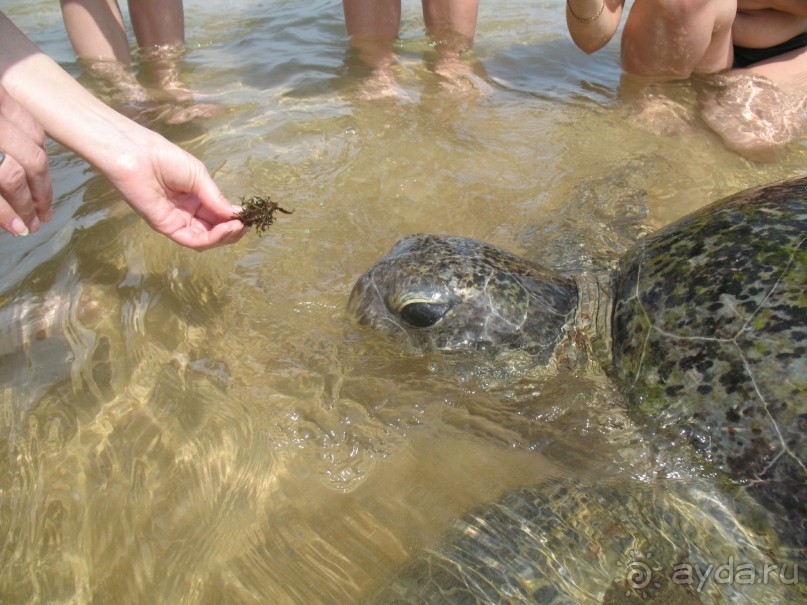 Устроило всё
