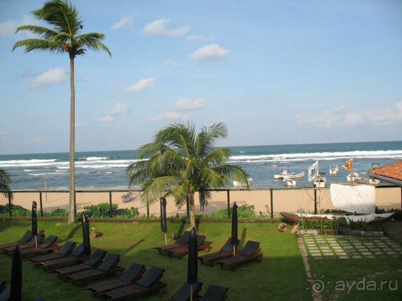 Устроило всё