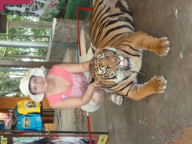 фото Welcome Jomtien Beach Hotel