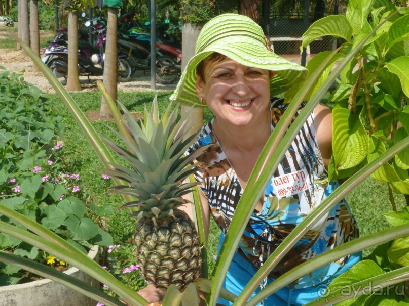 Всё было на уровне! Впечатление осталось хорошим!