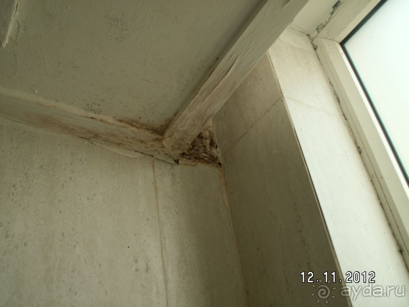 Шоковое состояние