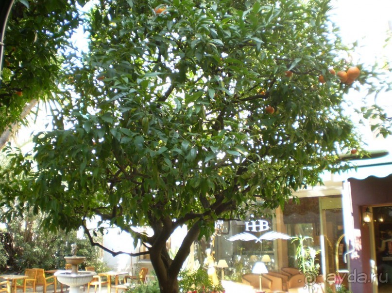 Отель мечты!!!!!!!