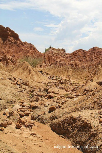 Альбом отзыва "Пустыня Татакоа. Красная пустыня."