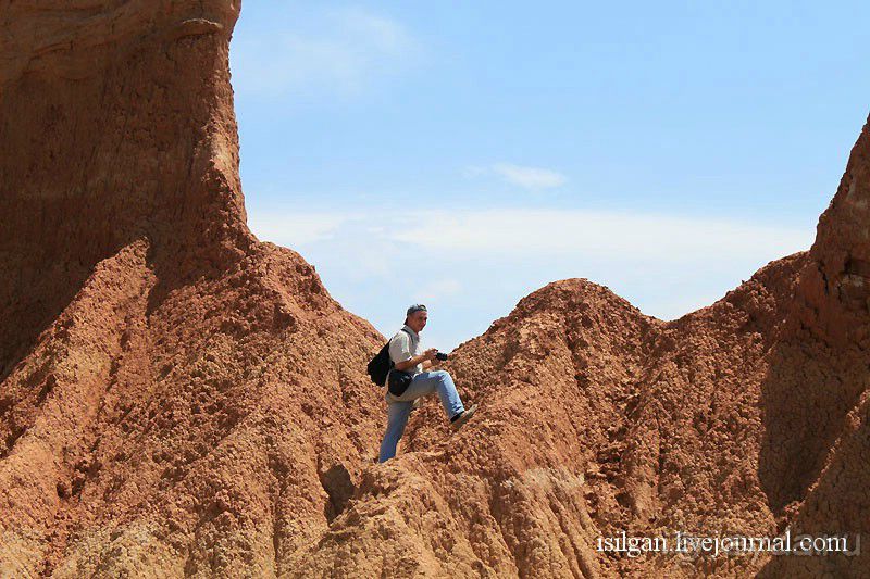 Альбом отзыва "Пустыня Татакоа. Красная пустыня."
