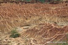 Альбом отзыва "Пустыня Татакоа. Красная пустыня."