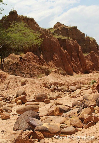 Альбом отзыва "Пустыня Татакоа. Красная пустыня."