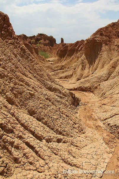 Альбом отзыва "Пустыня Татакоа. Красная пустыня."