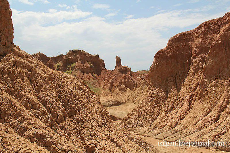 Альбом отзыва "Пустыня Татакоа. Красная пустыня."