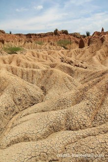 Альбом отзыва "Пустыня Татакоа. Красная пустыня."