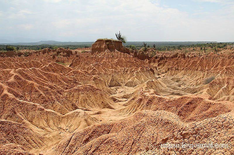 Альбом отзыва "Пустыня Татакоа. Красная пустыня."