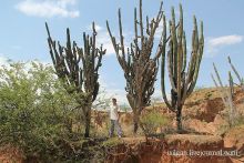 Альбом отзыва "Пустыня Татакоа. Красная пустыня."