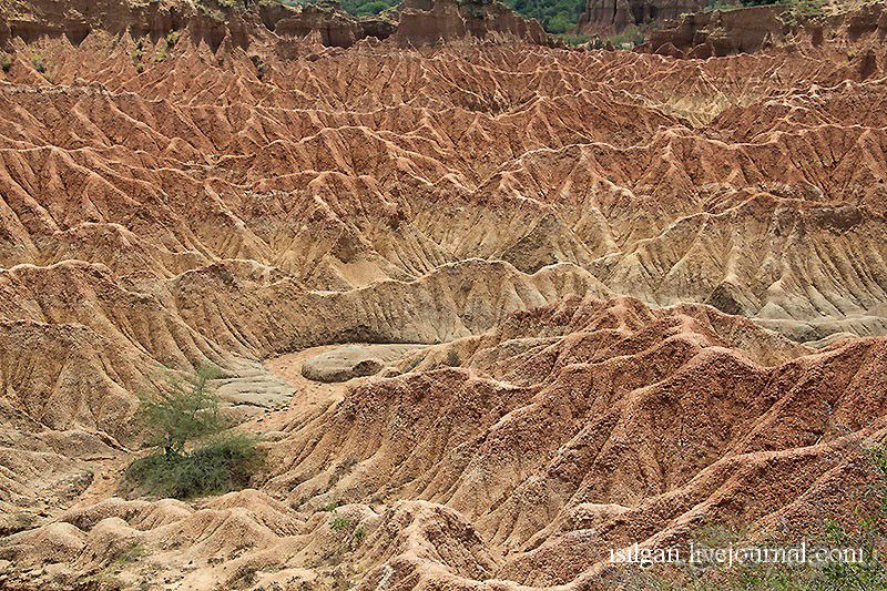 Альбом отзыва "Пустыня Татакоа. Красная пустыня."