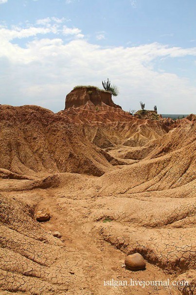 Альбом отзыва "Пустыня Татакоа. Красная пустыня."