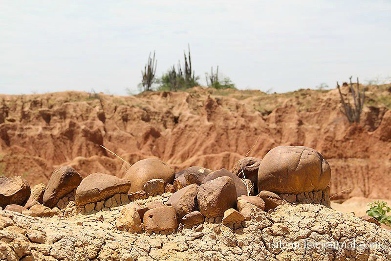 Альбом отзыва "Пустыня Татакоа. Красная пустыня."