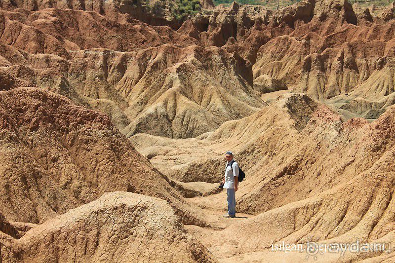 Альбом отзыва "Пустыня Татакоа. Красная пустыня."