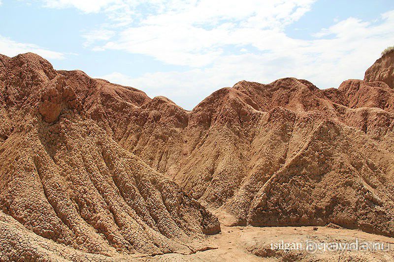 Альбом отзыва "Пустыня Татакоа. Красная пустыня."