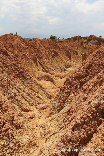 Альбом отзыва "Пустыня Татакоа. Красная пустыня."