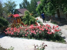 фото Радуга