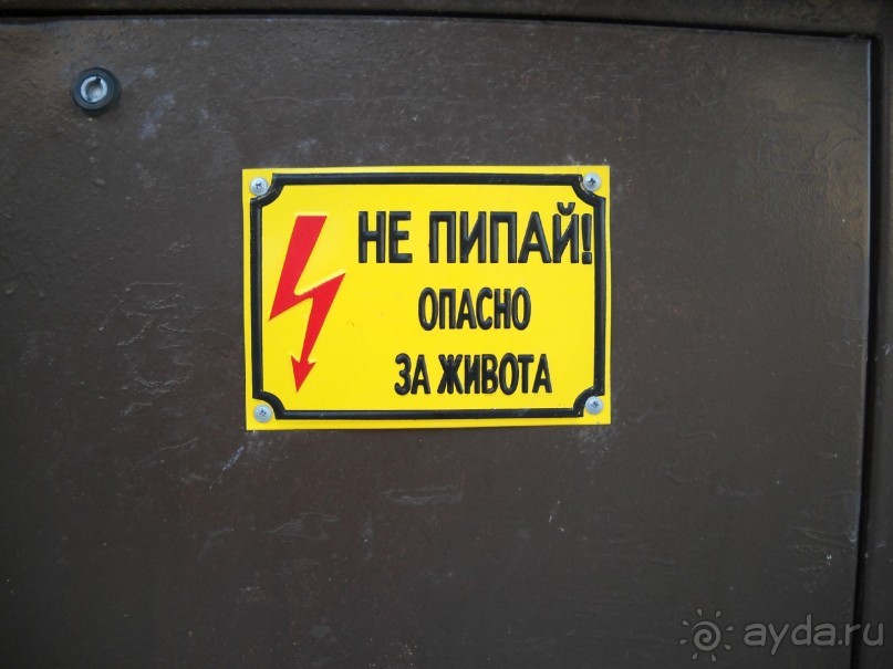 фото Флайт