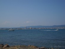 фото Флайт