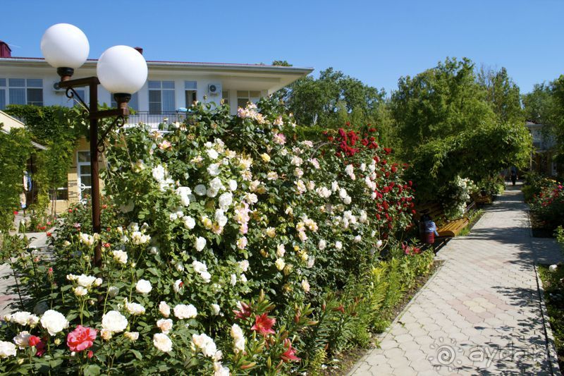 Отдых в "Радуге" - полноцветие красок